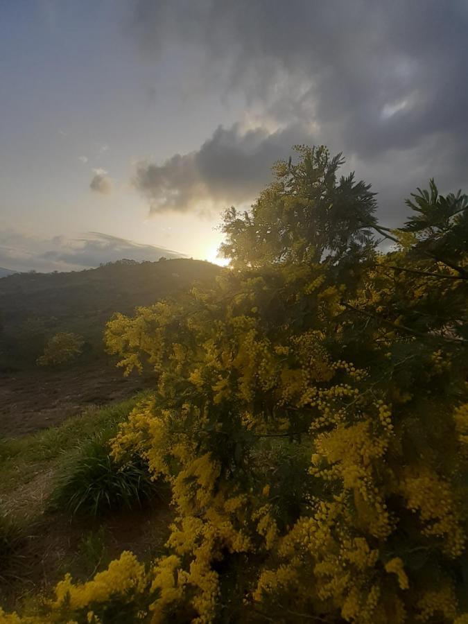 Dans Un Jardin Bb Et Jacuzzi Bed & Breakfast มองเดอลิเยอลานาปูล ภายนอก รูปภาพ